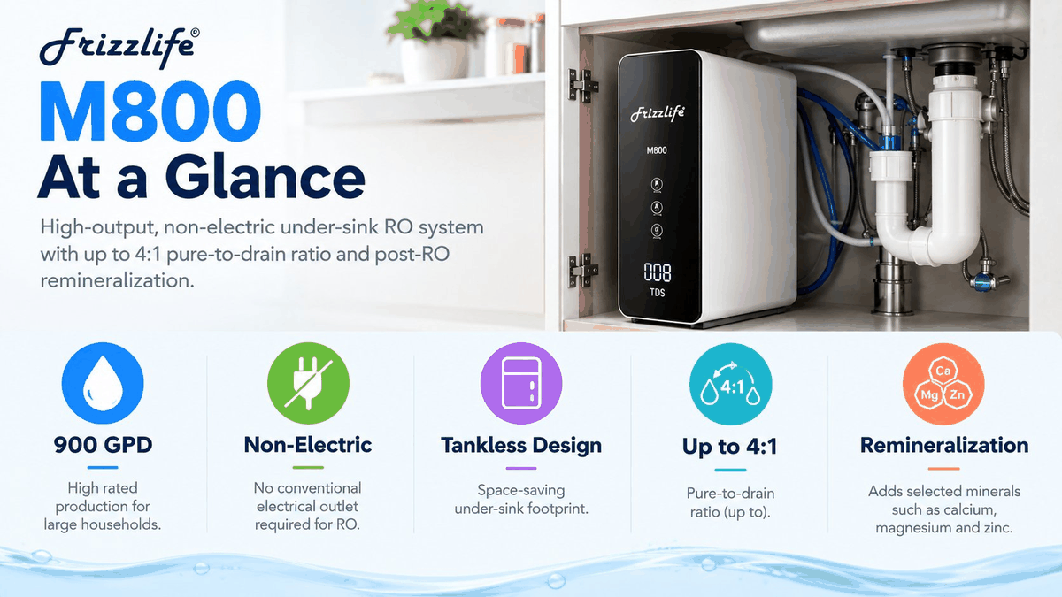 WattPick Lab editorial illustration of the Frizzlife M800-new at a glance: a 900 GPD rating, non-electric operation, tankless design, an up-to-4:1 pure-to-drain ratio and post-RO remineralization.
